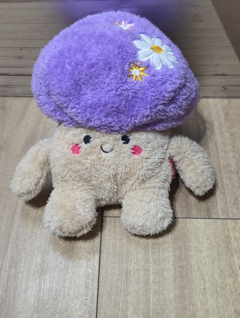 Bum Bumz Russ Jazwares Nancy Only Miguel The Groovy  Mushroom Spring Bumz